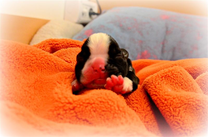 Freya, day 2